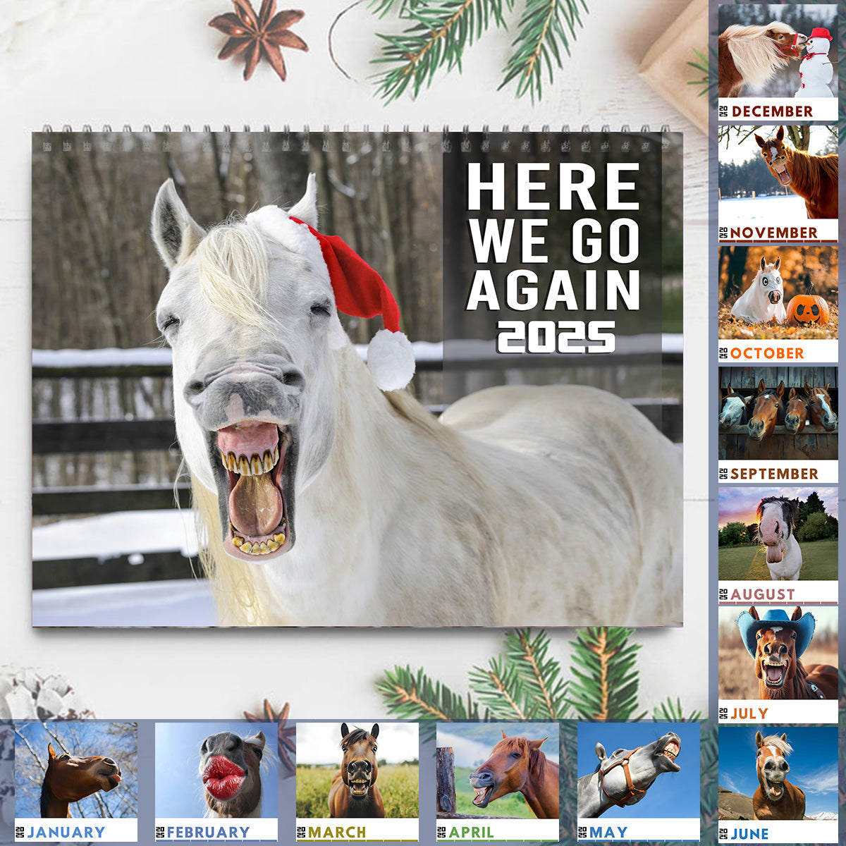 Funny Horses - Horse Wall Calendar